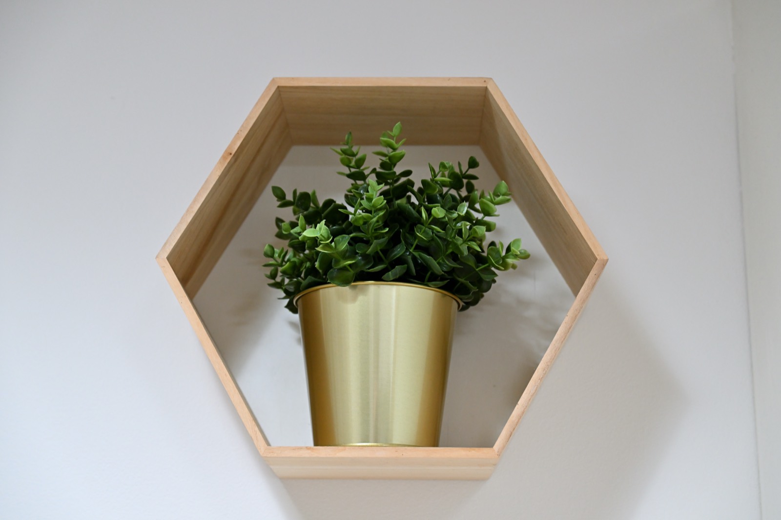 Apartment H01 — photo 4