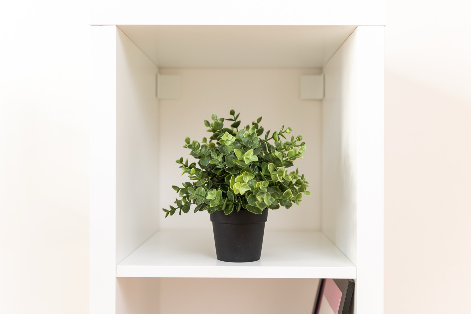 Apartment H02 — additional photo 6