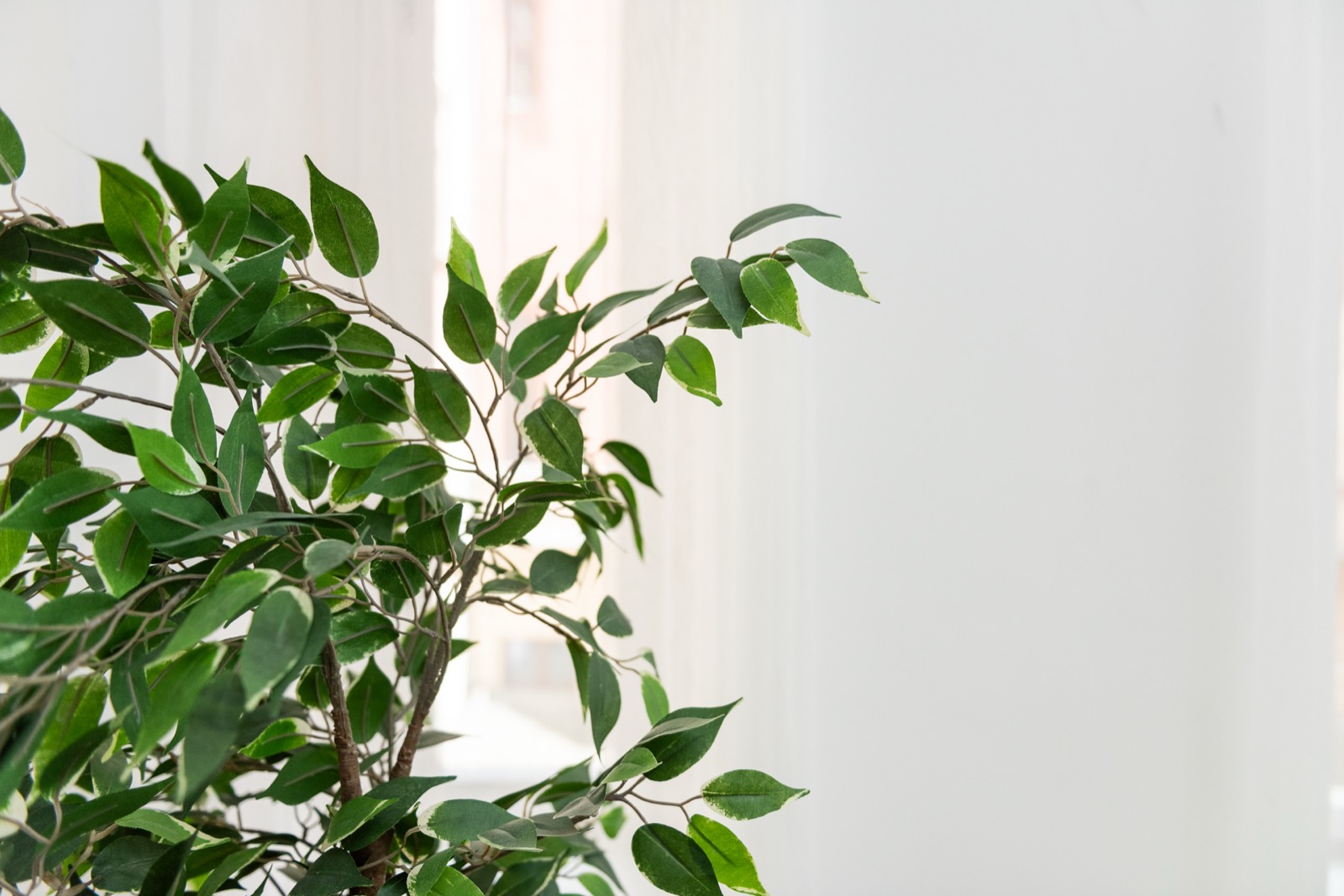 Apartment H03 — additional photo 5