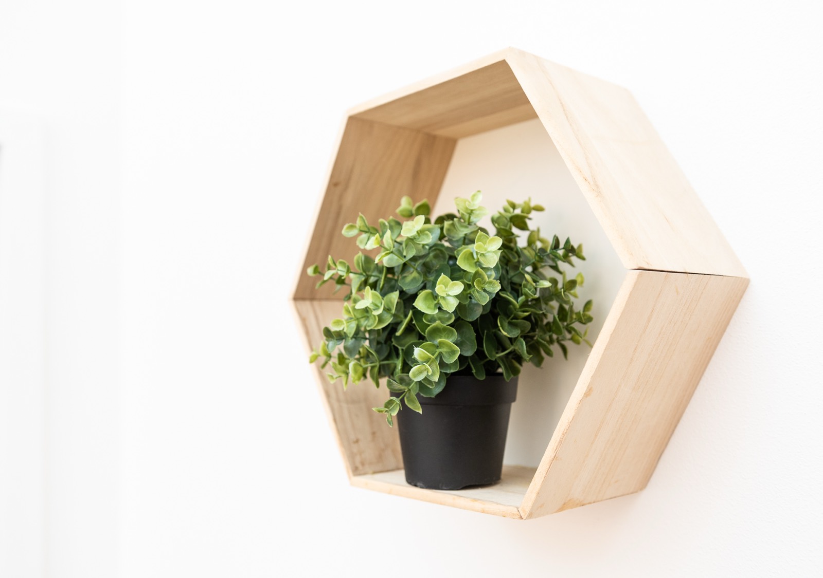 Apartment H03 — photo 4
