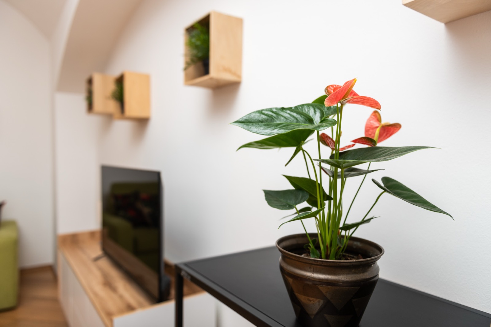 Apartment RE01 — additional photo 18