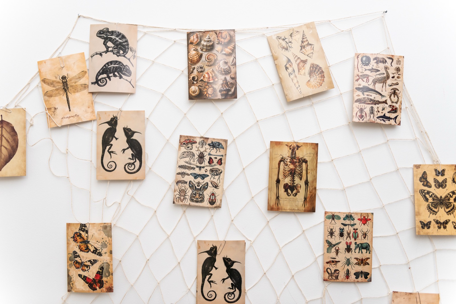 Apartment RE09 — additional photo 24
