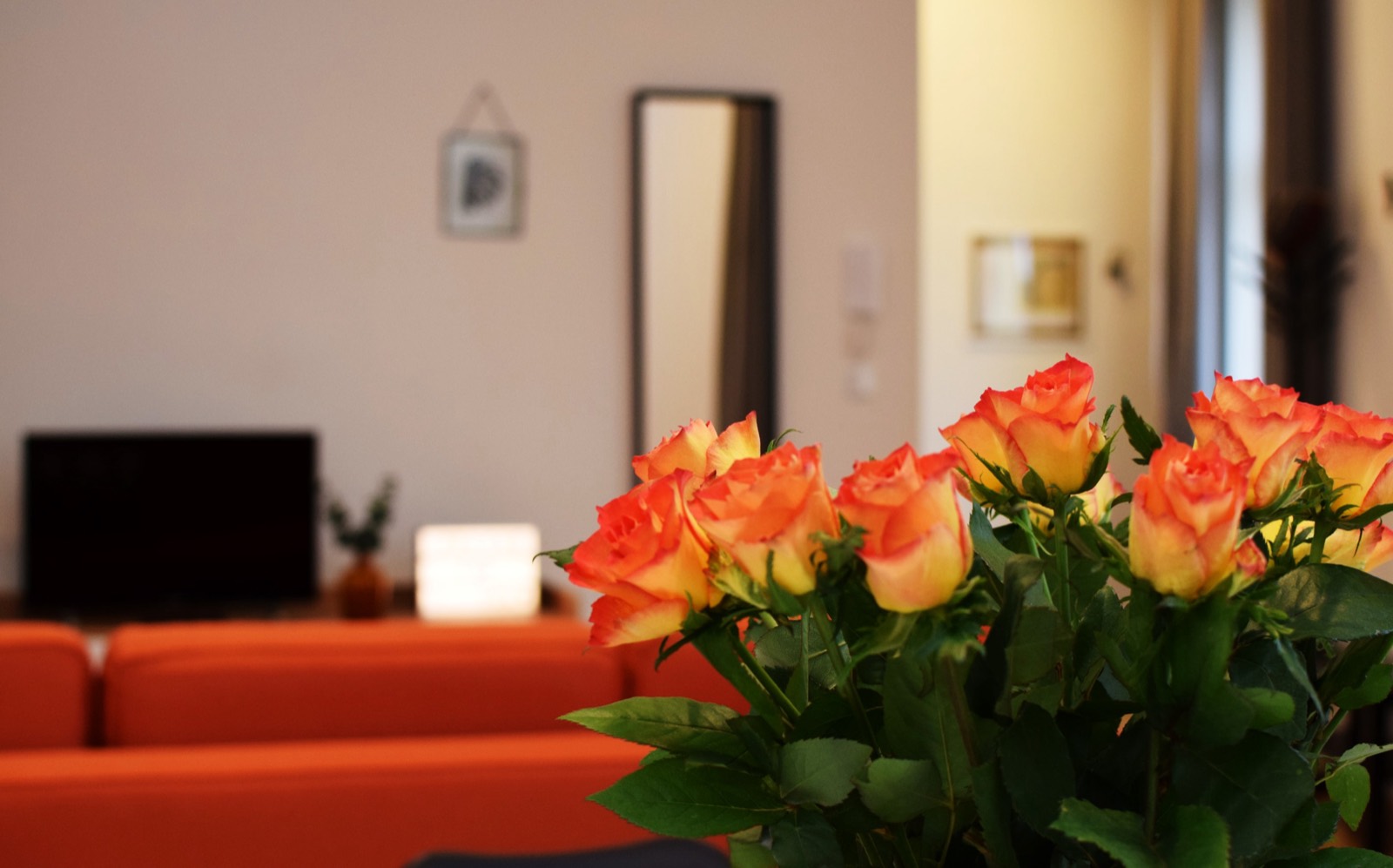 Apartment RE12 — photo 9
