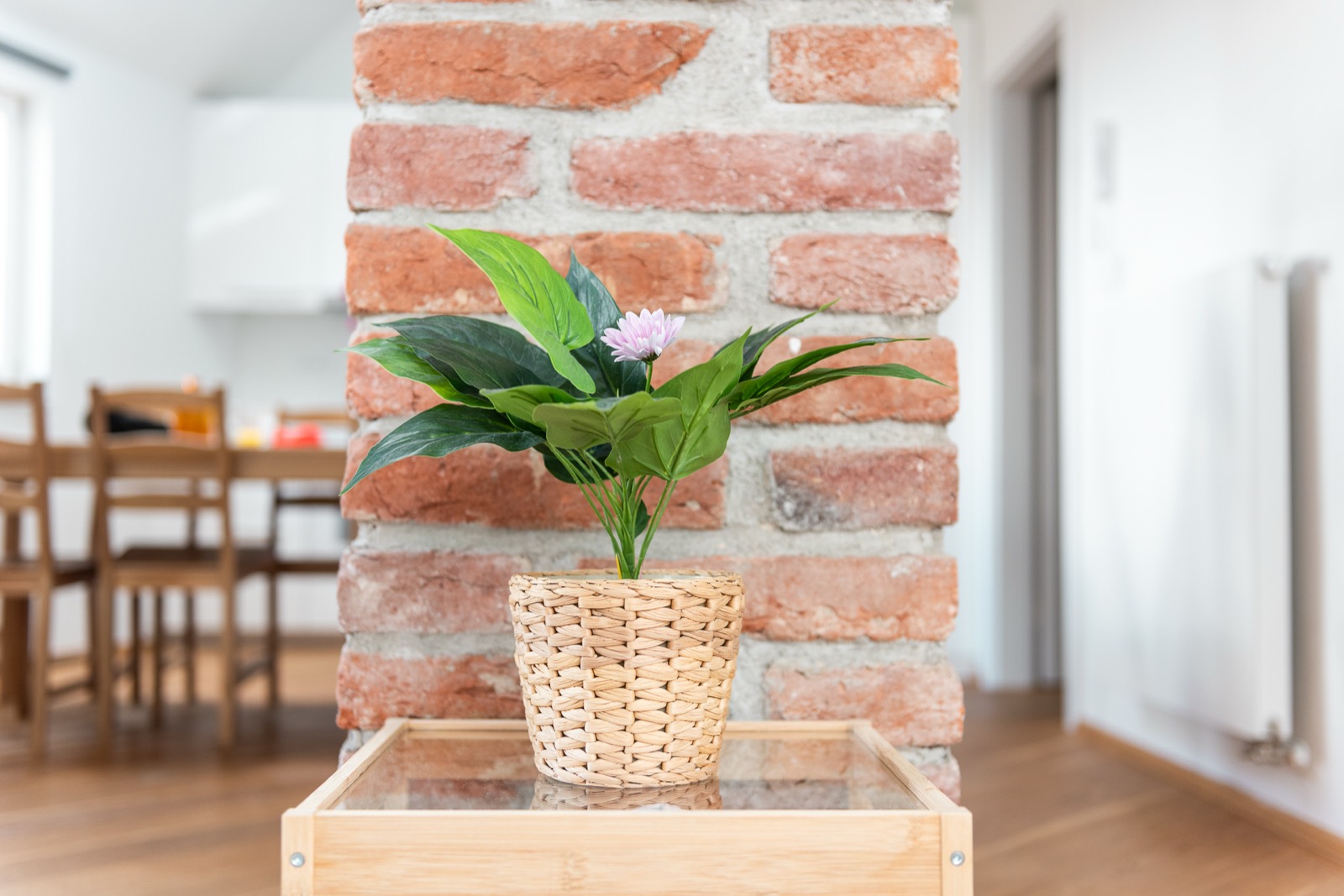 Apartment RE22 — additional photo 57