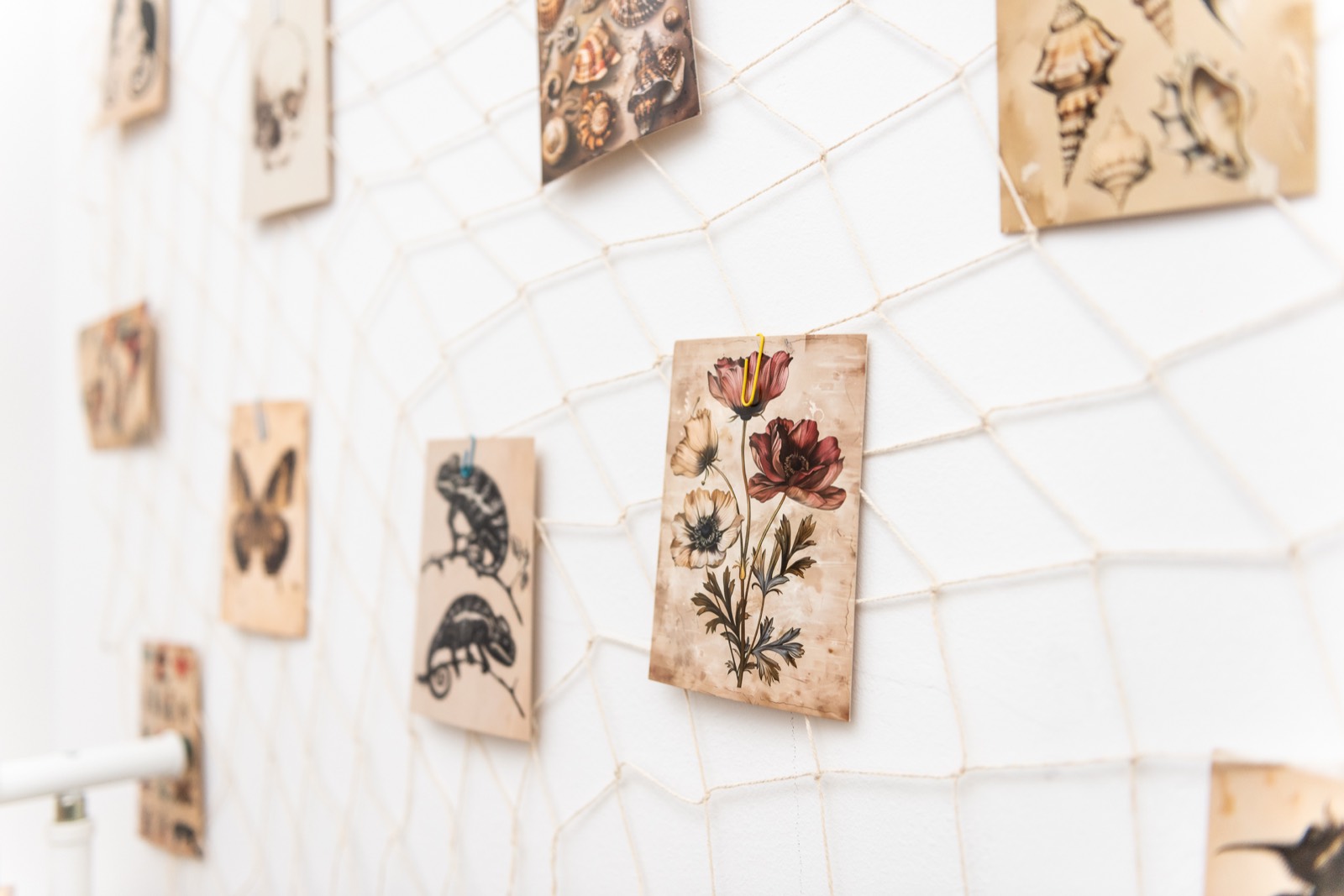 Apartment RE23 — additional photo 7