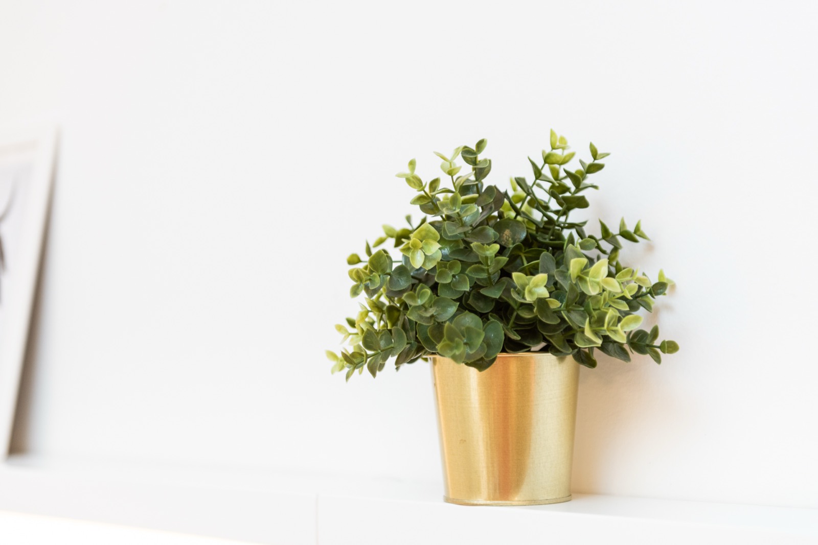 Apartment RE26 — additional photo 13