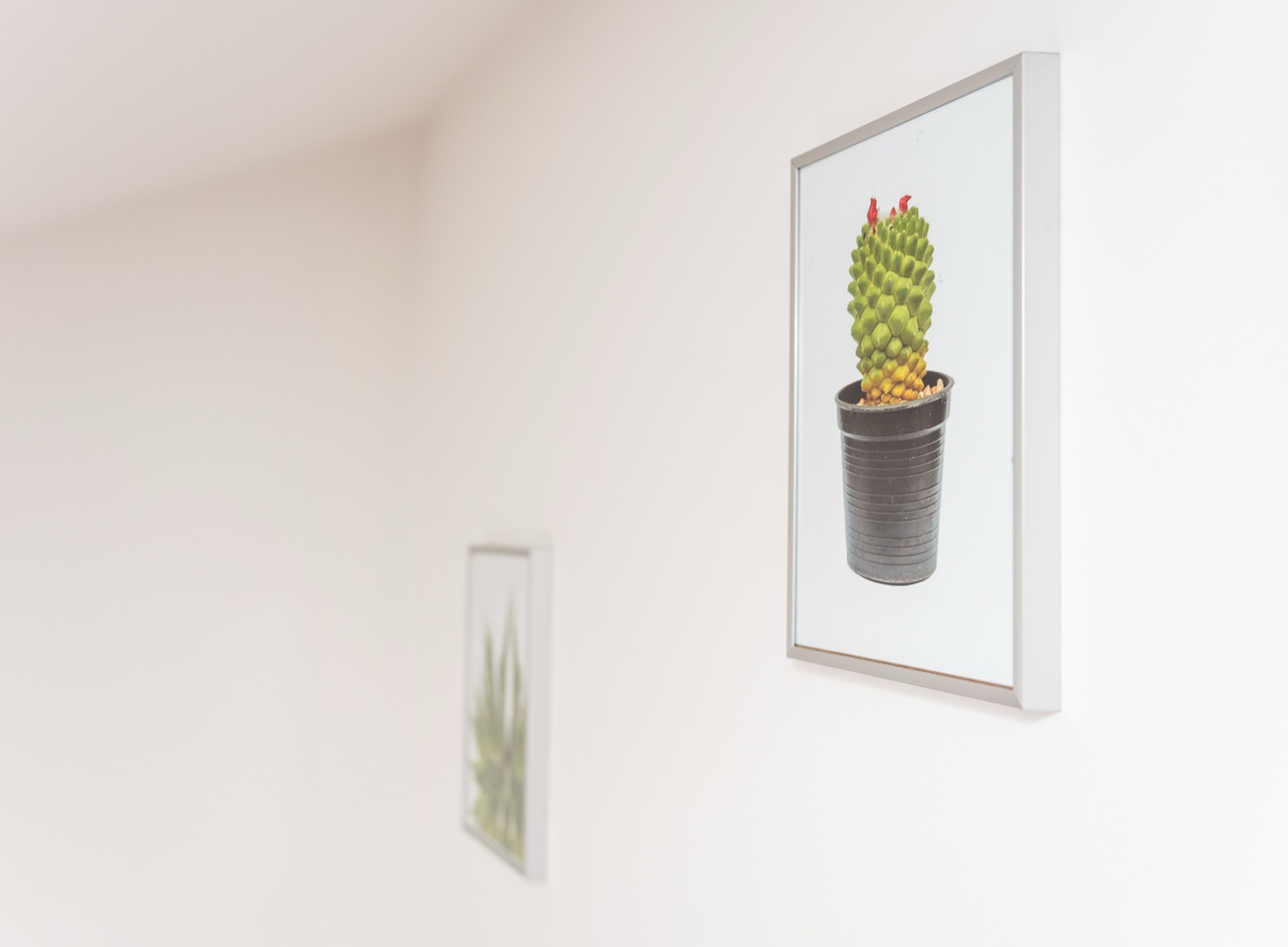 Apartment RE26 — photo 6